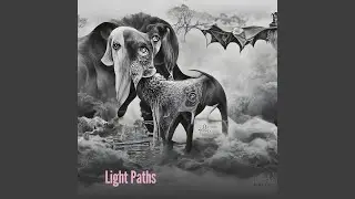 Light Paths
