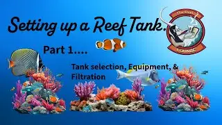 Reef  tank setup episode 1