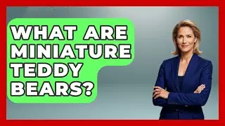 What Are Miniature Teddy Bears? - Collectible Dolls and Toys
