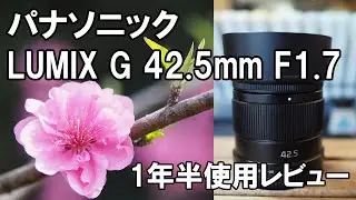 LUMIX G 42.5mm F1.7 Panasonic  1年半使用レビュー