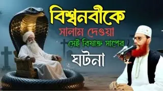 বিশ্বনবীকে সালাম দেওয়া সেই বিষাক্ত সাপের ঘটনা।। দেলোয়ার হোসাইন সাঈদী।। বাংলা ওয়াজ।। delowar hossain