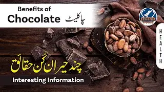 Amazing Medical Benefits of Chocolate | Dark Chocolate | Legend Voice