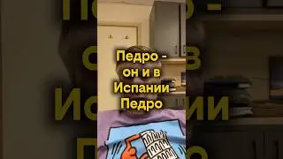 Педро - он и в Испании Педро #израиль #ближнийвосток #новости #pvt_chatting #reels