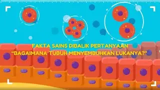 MITOSIS | Fakta sains dibalik pertanyaan 
