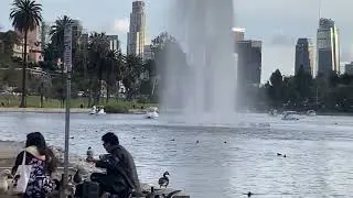 Quack Quack party