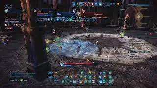 [TERA] Champion's Skyring (#04) - Mystic / Brawler / Sorcerer