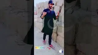 Wheat Straw Packing For Export Pakistan To South Korea