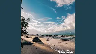 Lapping Waves: Peaceful Sounds of the Coast