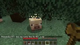 Surviving my first Minecraft Night
