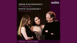 Piano Trio in A Minor, Op. 50: Var. 6 Tempo di valse