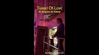 Tunnel Of Love en &oacute;rgano de tubos