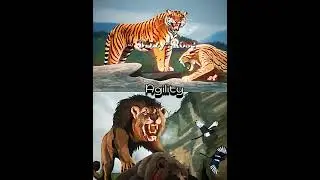 Ngandong tiger vs Mosbach lion #1v1 #edit #vs #tiger #lion #animals #prehistoric #paleontology #fyp