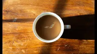 Greywolf - Morning 