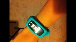 Pedometer review 