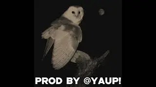 [free] королевский xvii + темный принц + ashleyrossmith type beat - jeep  (prod. by yaup!)