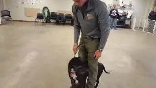 DPFL Muzzling Demonstration