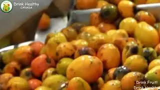 Aseptic Fruit Pur&eacute;e Process