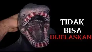 Misteri Laut Dalam: Hiu Paling Aneh dan Menyeramkan di Dunia