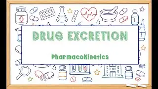Drug Excretion in Pharmacokinetics | Renal Excretion, GFR, Tubular Secretion & Reabsorption