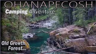 Camping at Ohanapecosh Campground in Mt Rainier National Park