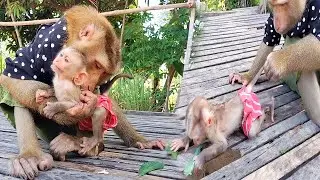 PaPa SokYaa Handle Newborns Better Than Most Humans