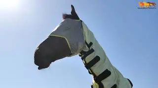 Field Relief Fly Rug - providing ears to tail fly and UV protection