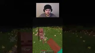 Killing a bedrock skeleton unarmed in minecraft day 3 #shorts #viralshorts