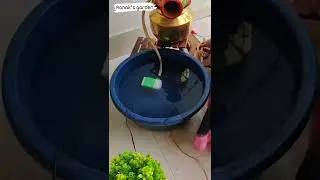 Making a mini fountain at home 🌼#short
