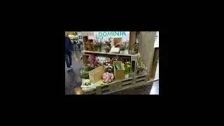 IPM ESSEN 2023  succulents, Mediterranean trees