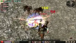 Metin2.Us - 01/28/11 - The Journey - rynaqui