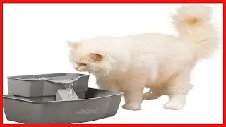Quality product -  PetSafe Drinkwell Multi-Tier Pet Fountain - Automatic Dog or Cat Water Fountain