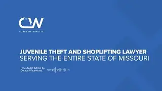 Juvenile Theft and Shoplifting Defense Lawyer in Missouri