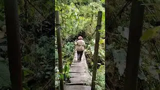 Cocora Valley, Kolumbia