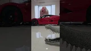 Insane Supercar Showroom - Ikonick Motors Miami