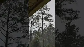 Tropical Storm Nicole and Jacksonville, 11/10/2022
