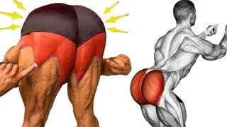 8 Best Exercise for Perfect Glutes (only Glute 👌)