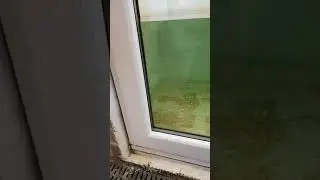 StormMeister Best Flood Doors on Market!
