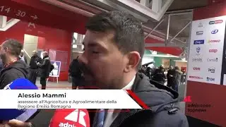 Imprese: ass. Mammi (Emilia Romagna), &lsquo;Marca pu&ograve; rafforzare dimensione e collaborazione filiere&rsquo;