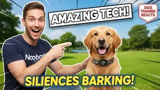 NooBark Anti-Bark Collar Review: Humane, Shock-Free Solution for Non-Stop Barkers! (2025 Tested)