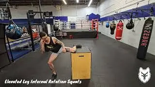 Improve Head Kick Flexibility - Elevated Leg Internal Rotation Squats