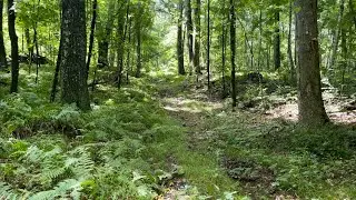 Exploring Dudleytown In West Cornwall Connecticut. Pt 2-Found a Pair Of Jordan’s.