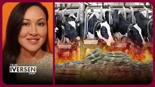From Farm to Fork: The Cruel Cost of Cheap Meat