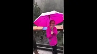 New umbrella!