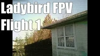 Walkera Ladybird QR FPV first flight