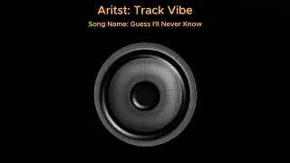 TrackVibe - Guess I'll Never Know (Lyrics Video)
