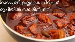 Salmon Fish Curry | Tasty Salmon Fish Curry in Kerala Style