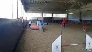 Black - Agility deb. (KimiDogs ASD) 02/11/14 - Suno (NO)