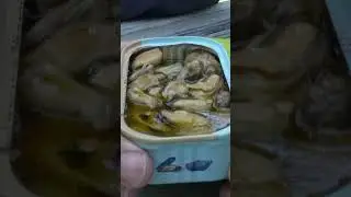 I Tried Tinned Mussels #seafood #mussels #traderjoes
