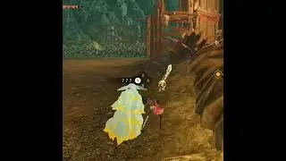 薩爾達無雙 封印戰記218🍂勞魯 發現克洛格 #Zelda Hyrule Warriors: Age of Imprisonment #ゼルダ無双
