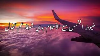 Shiro - Baddi Aktar | شيرو - بدي أكتر (Official Lyrics Video)
